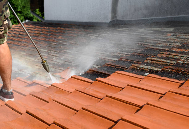 Why Choose Our Certified Pressure Washing Experts for Your Project Needs in Wesson, MS?
