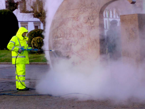 Best Roof Power Washing Services  in Wesson, MS